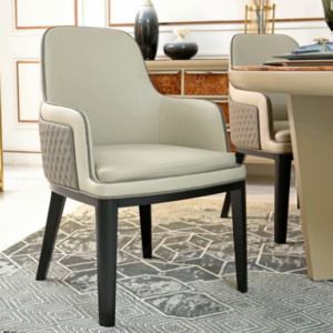 كرسي طعام بنمط عصري